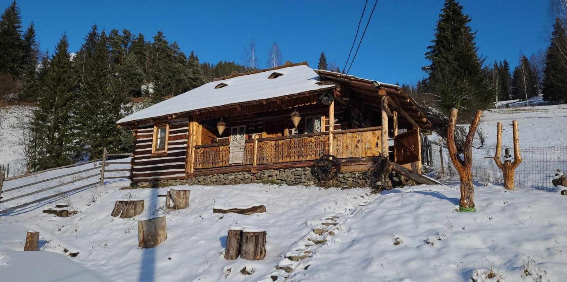 Casa Timan Park Villa Fundu Moldovei Bagian luar foto